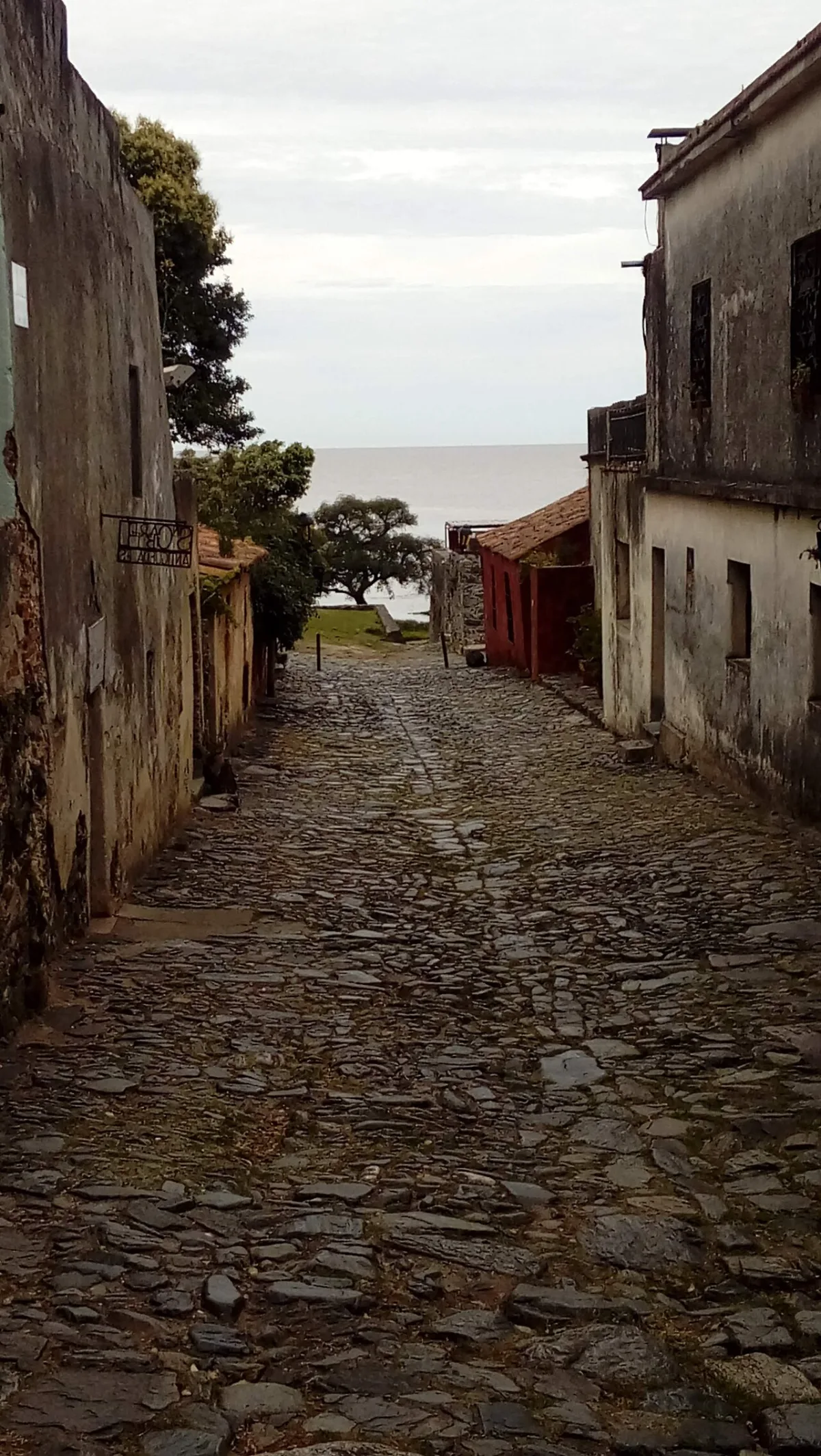Foto 4 do roteiro Montevidéu e Colonia em 5 dias gastando pouco: Ciudad Vieja, Rambla e o casco histórico