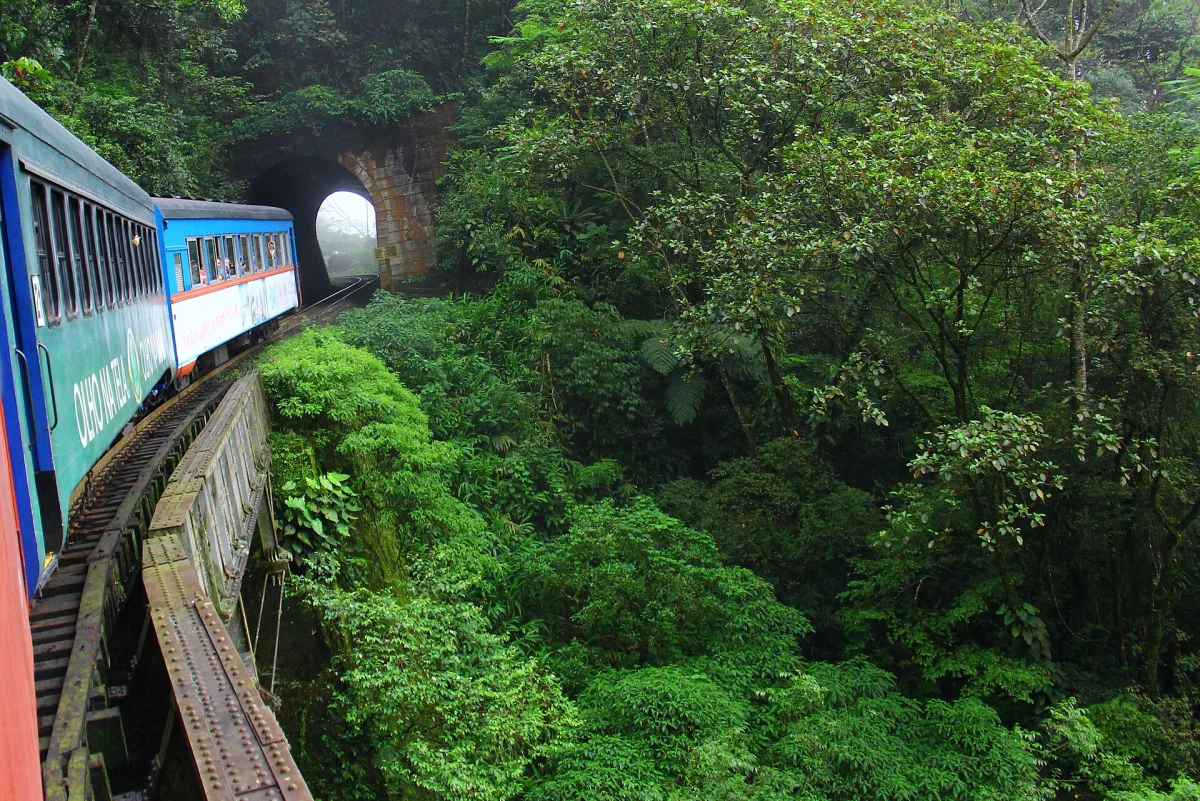 Foto 3 do roteiro Curitiba e Ilha do Mel em 5 dias: parques, o trem da Serra do Mar e uma ilha sem carros