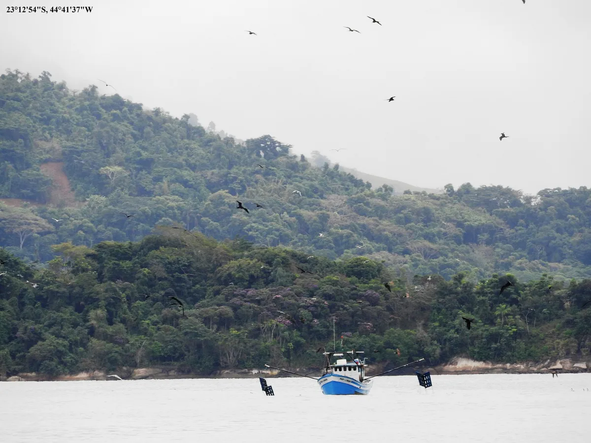 Foto 2 do roteiro Paraty e Trindade em 5 dias: centro histórico, passeio de escuna e praias desertas