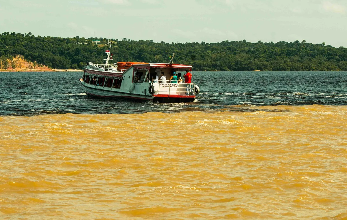 Foto 2 do roteiro Manaus e Amazônia em 5 dias: encontro das águas, igarapés e uma noite na selva