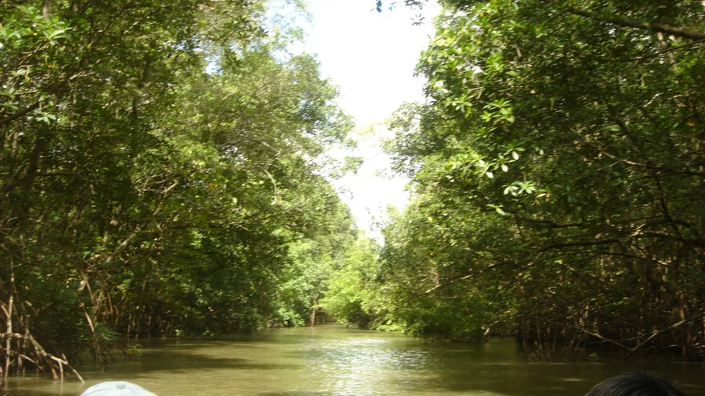 Foto 3 do roteiro Manaus e Amazônia em 5 dias: encontro das águas, igarapés e uma noite na selva
