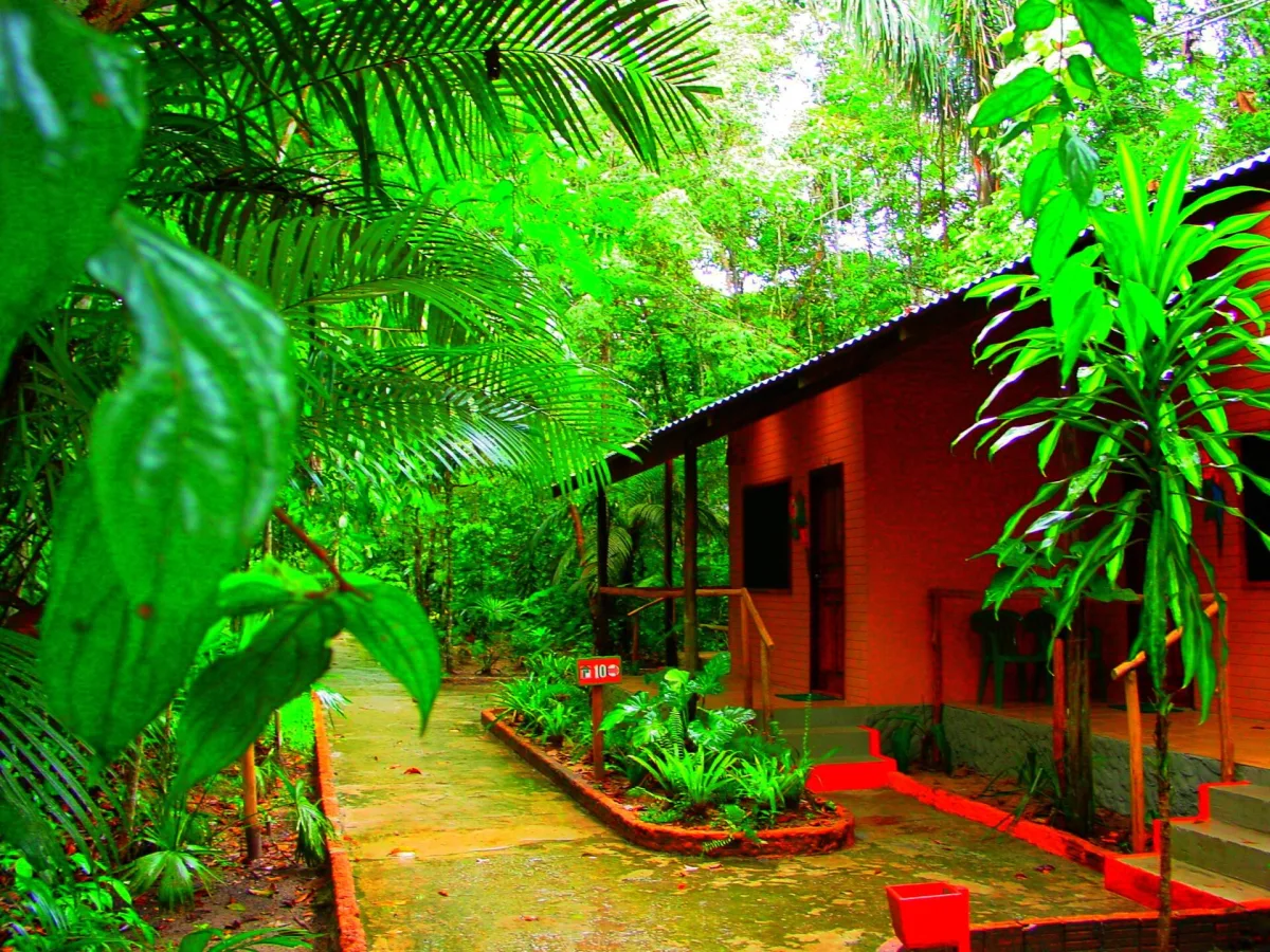 Foto 4 do roteiro Manaus e Amazônia em 5 dias: encontro das águas, igarapés e uma noite na selva