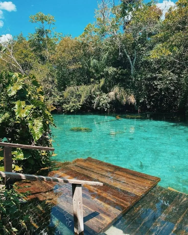 Foto 3 do roteiro Bonito (MS) em 5 dias: flutuação em rios de água cristalina