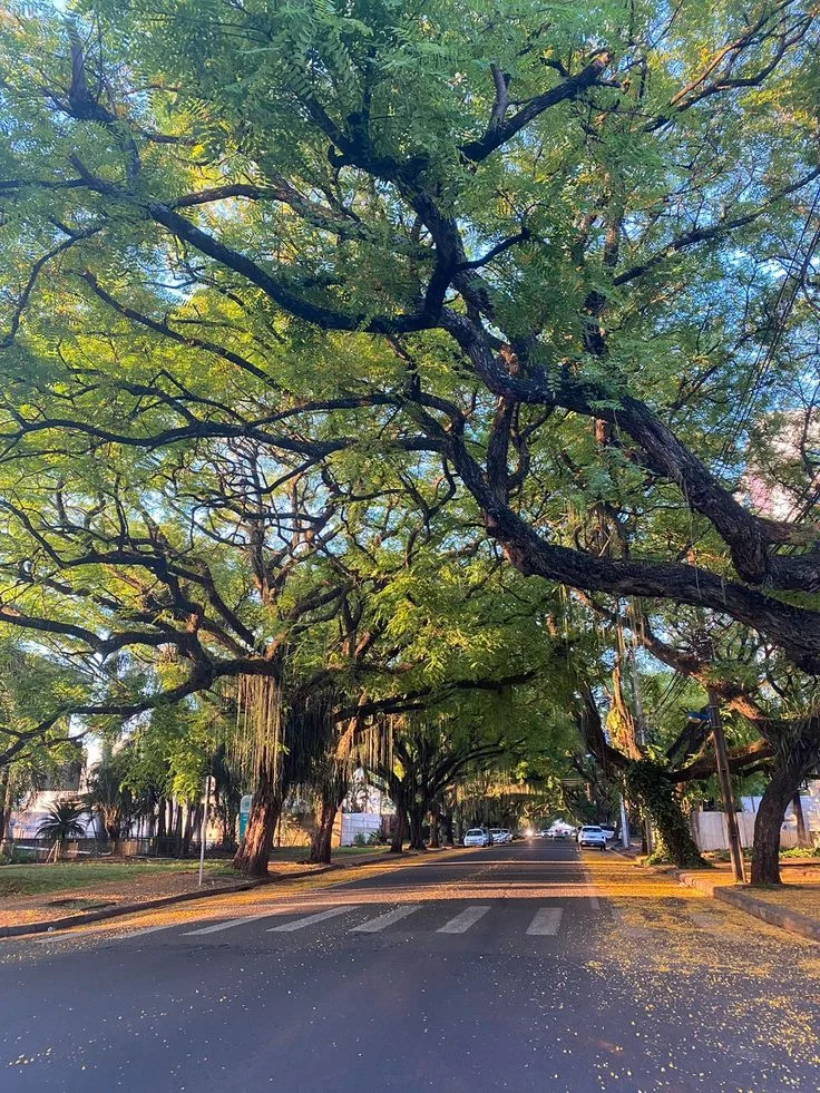 Foto 7 do roteiro Foz do Iguaçu em 4 dias: as Cataratas pelos dois lados